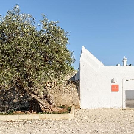 Masseria Stefanodelconte توري كان المظهر الخارجي الصورة