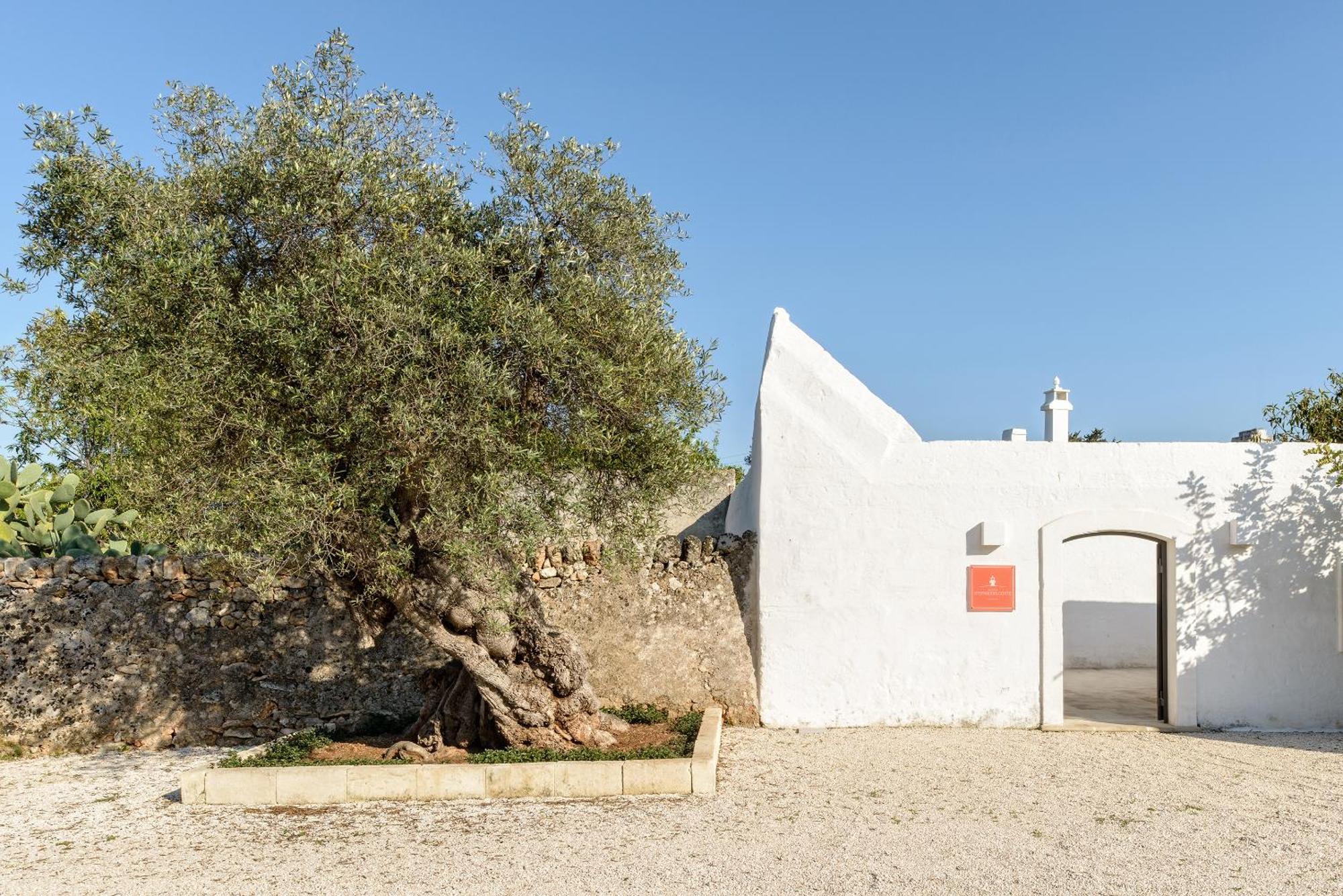 Masseria Stefanodelconte توري كان المظهر الخارجي الصورة